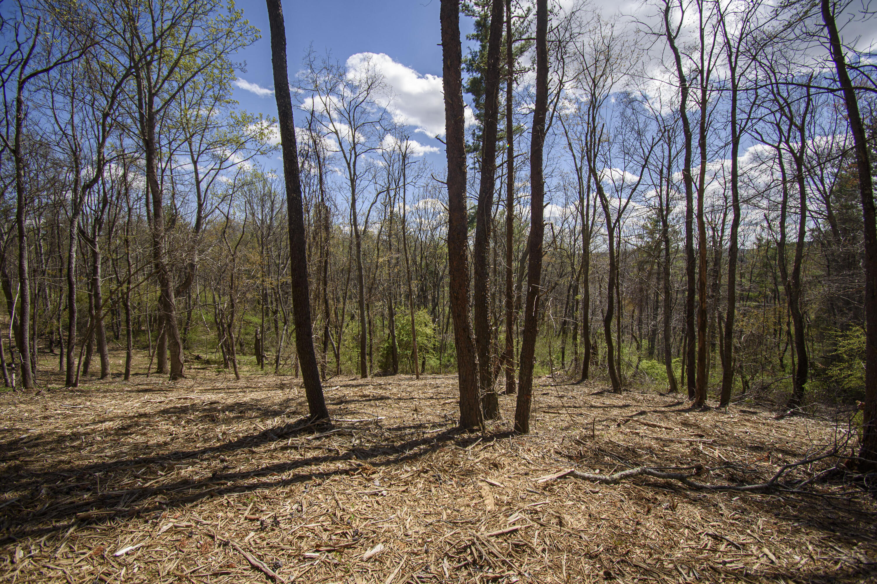Tract B Penn Rd, Floyd, Virginia image 2
