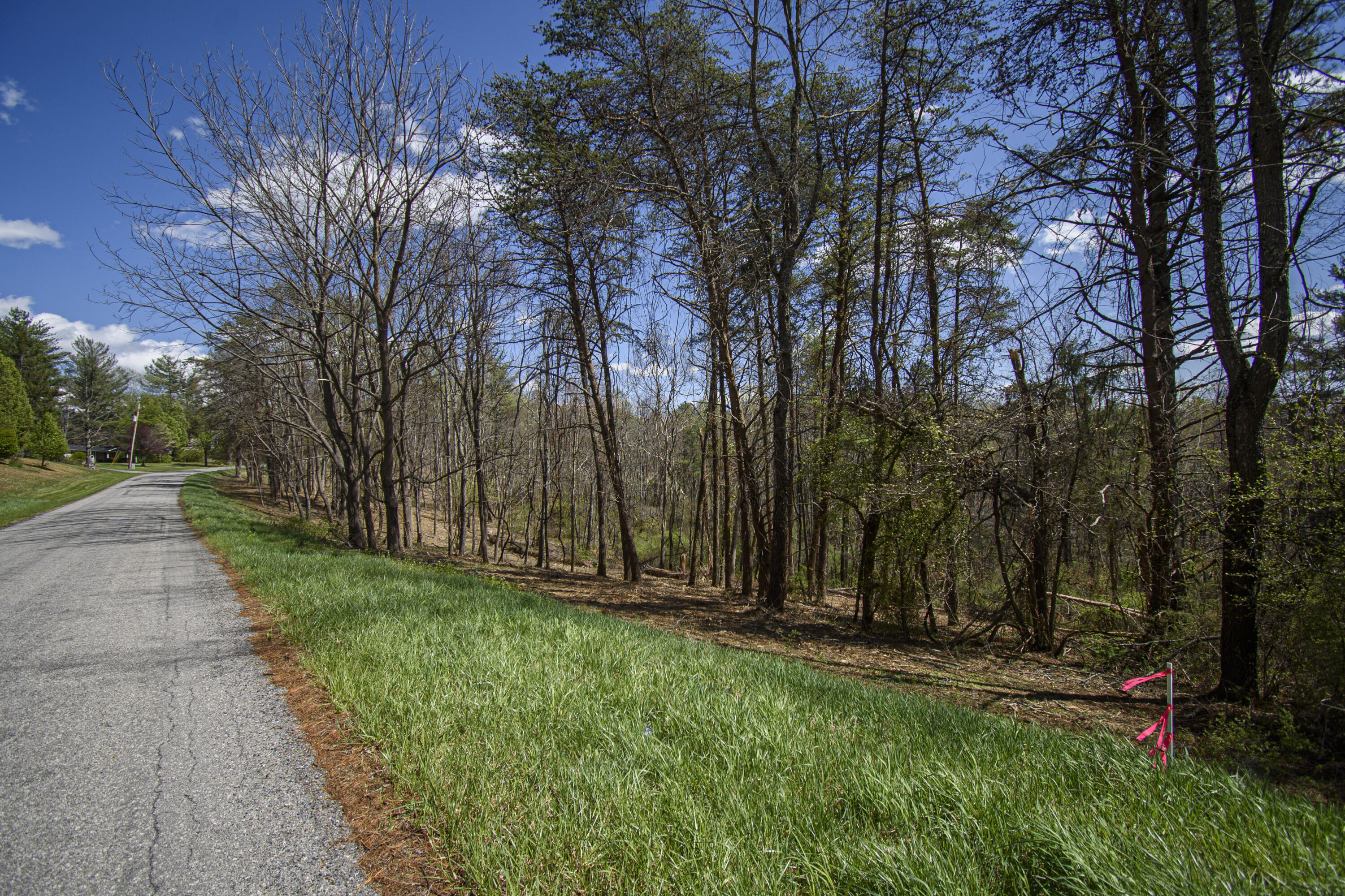 Tract B Penn Rd, Floyd, Virginia image 12