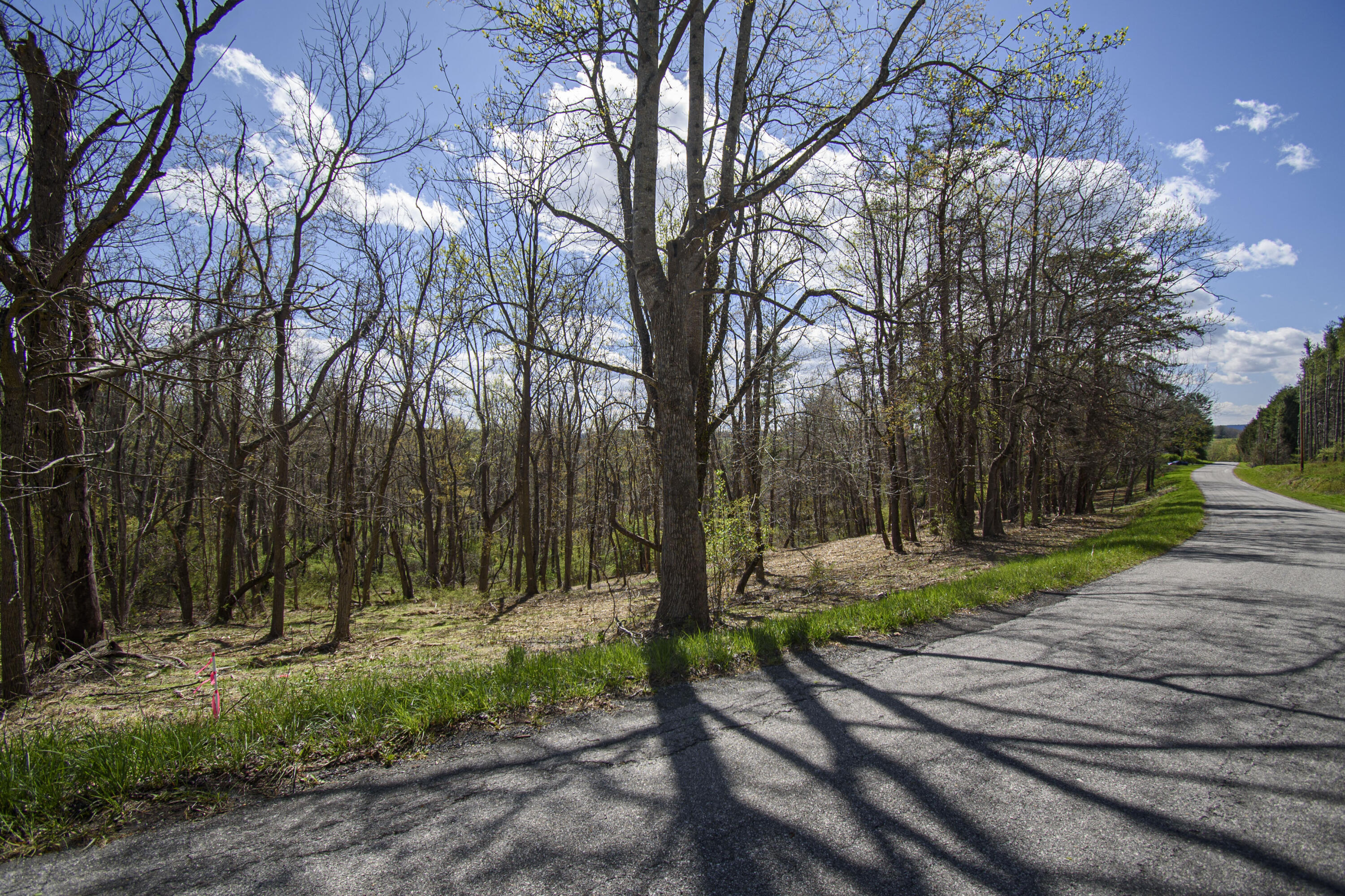 Tract B Penn Rd, Floyd, Virginia image 10