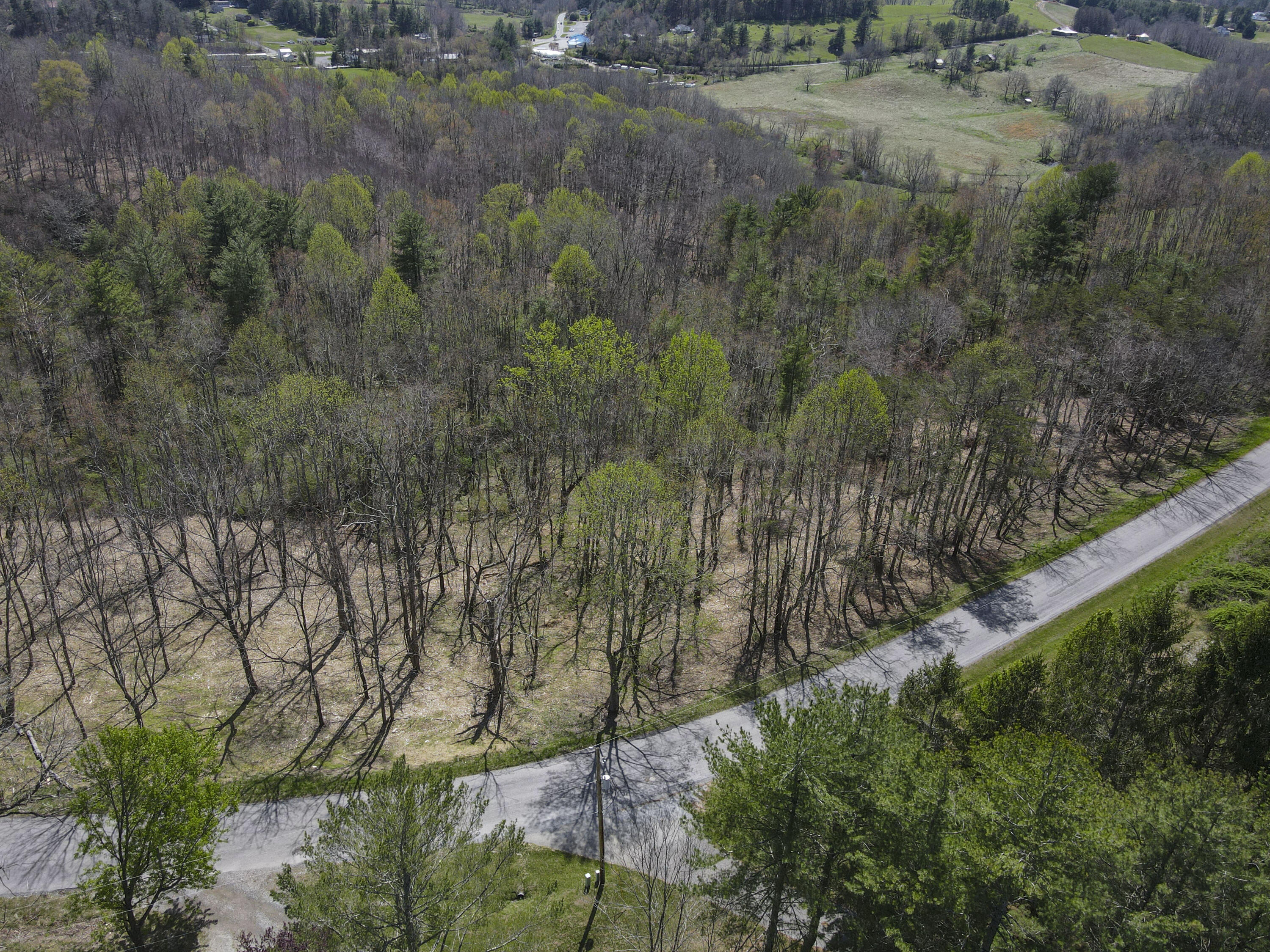 Tract B Penn Rd, Floyd, Virginia image 9