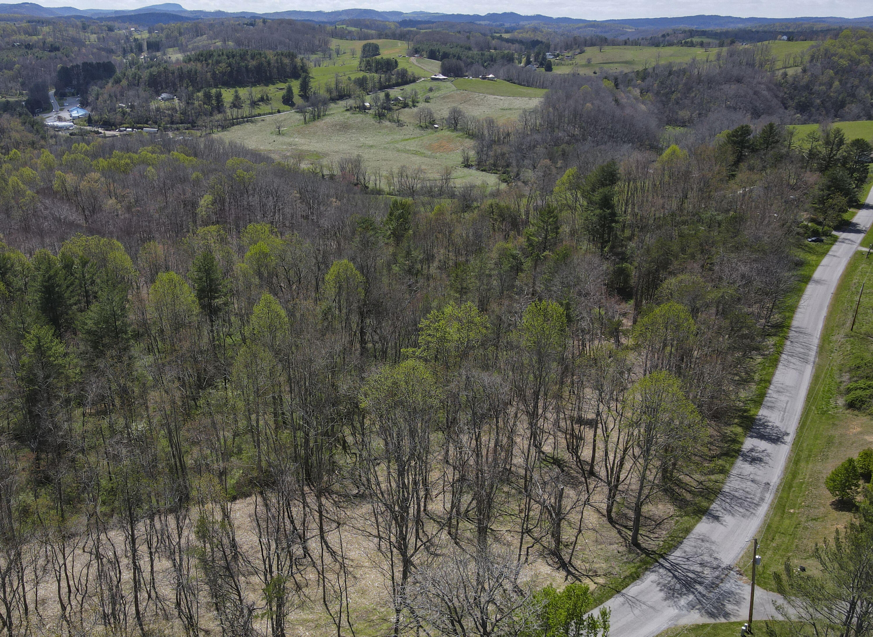Tract B Penn Rd, Floyd, Virginia image 5