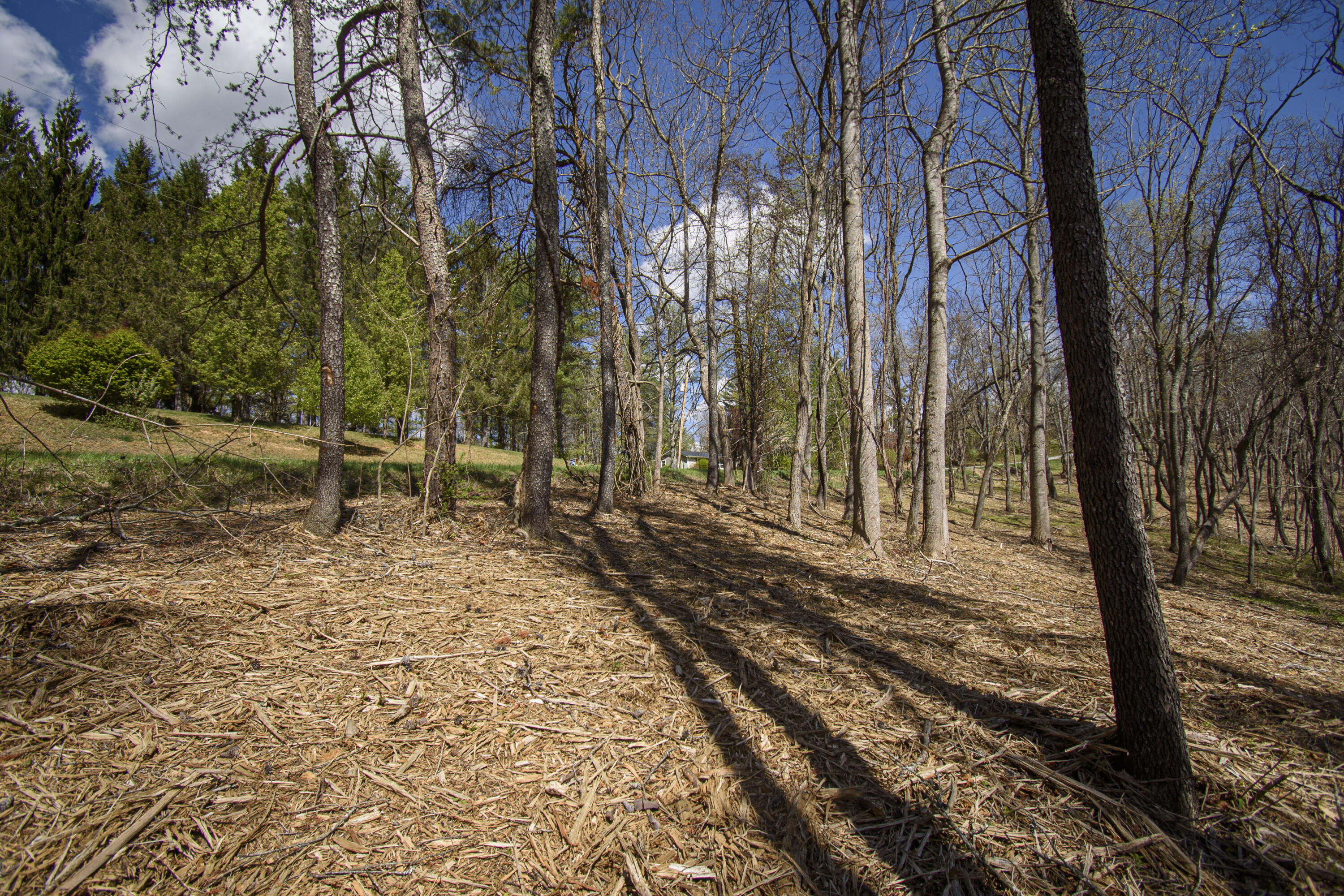 Tract B Penn Rd, Floyd, Virginia image 1