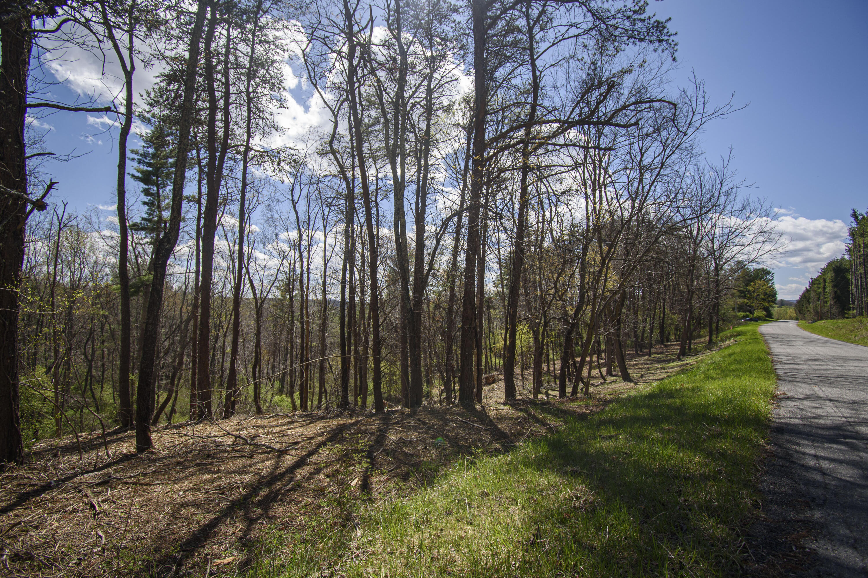 Tract B Penn Rd, Floyd, Virginia image 3