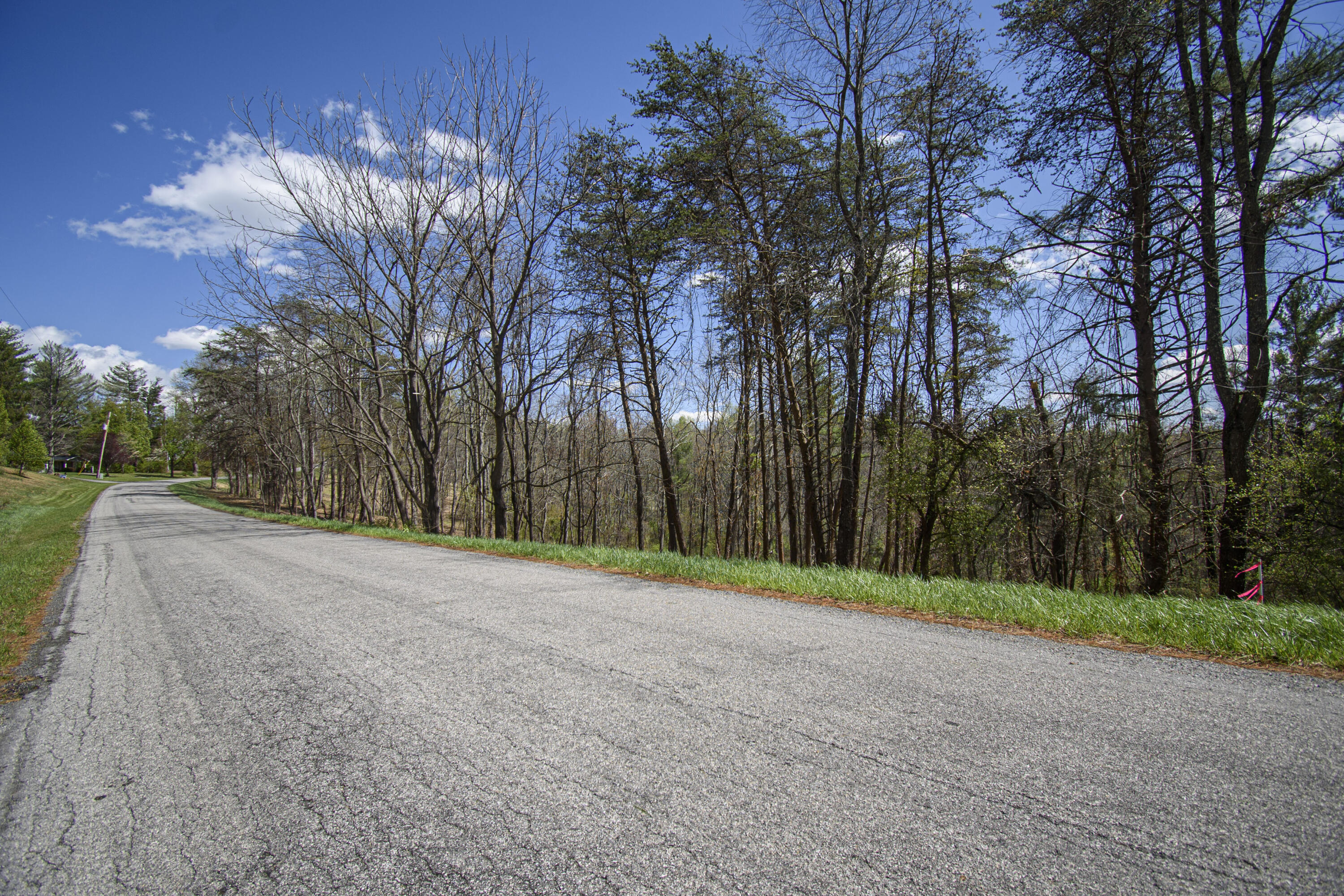 Tract B Penn Rd, Floyd, Virginia image 11