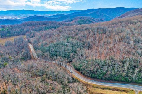 Vacant Land For Sale - 15885 Woolvine Hwy<br/> Floyd, VA 24091