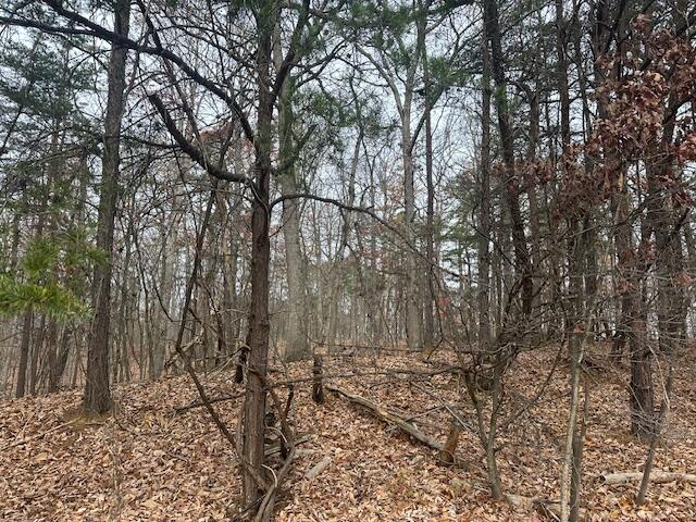 Lot 11 Stonebridge Dr, Blue Ridge, Virginia image 5