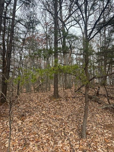 Lot 11 Stonebridge Dr, Blue Ridge, Virginia image 6