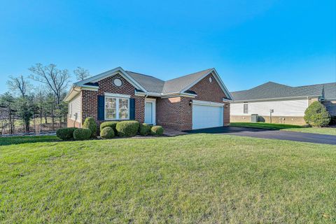 Photo of 1609 Cascades CT, Salem, VA 24153 (MLS # 925443)