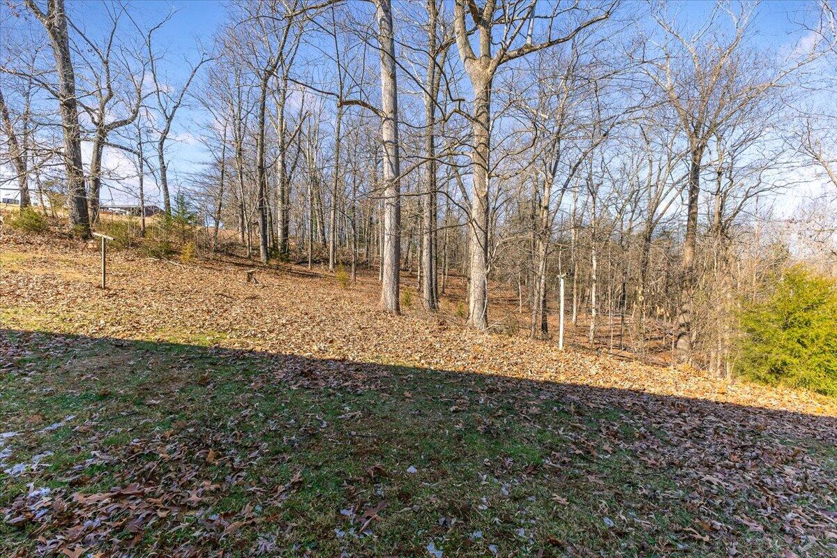 133 Windswept Ln, Boones Mill, Virginia image 30