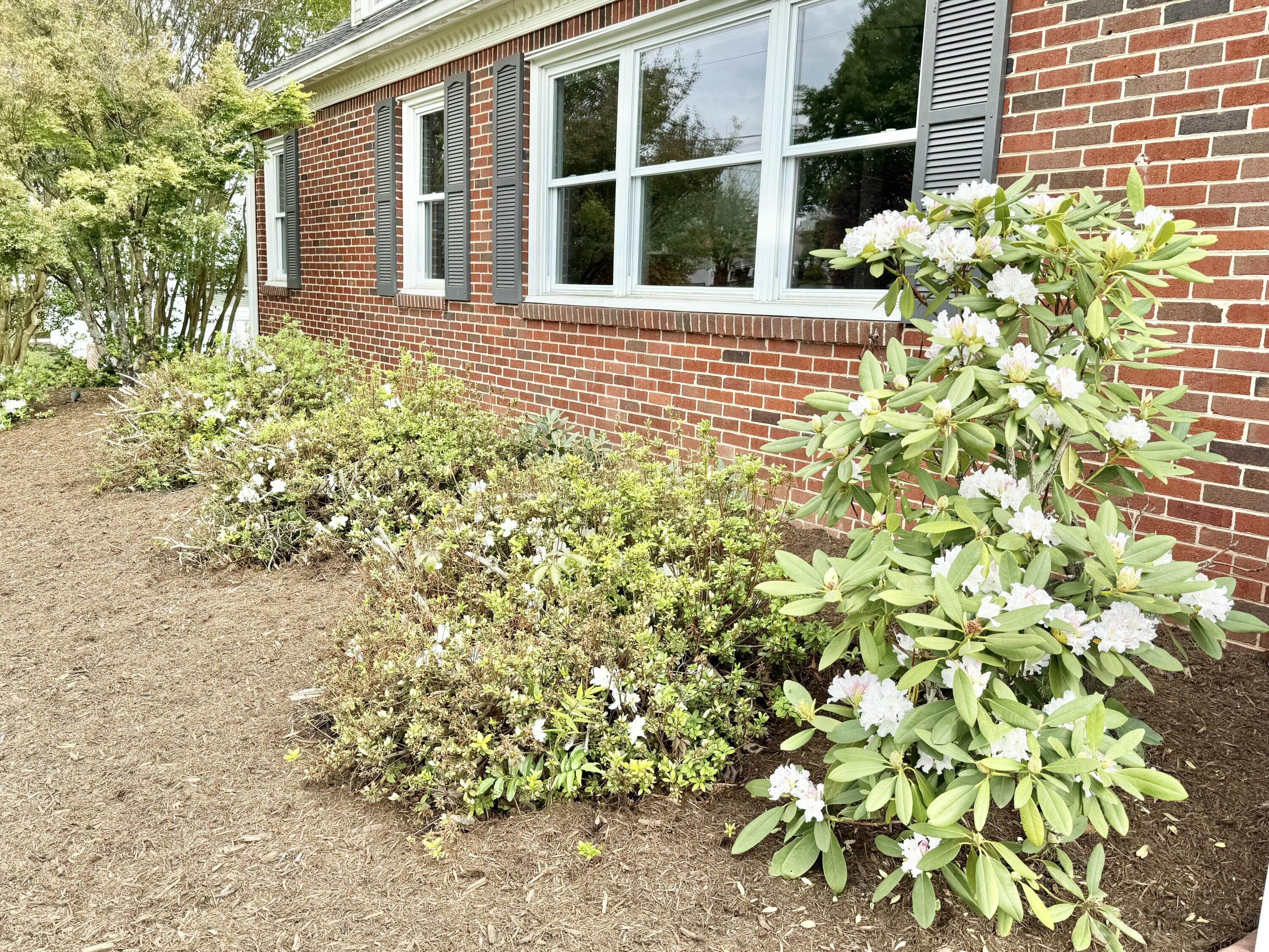 3466 Overbrook Dr, Roanoke, Virginia image 6