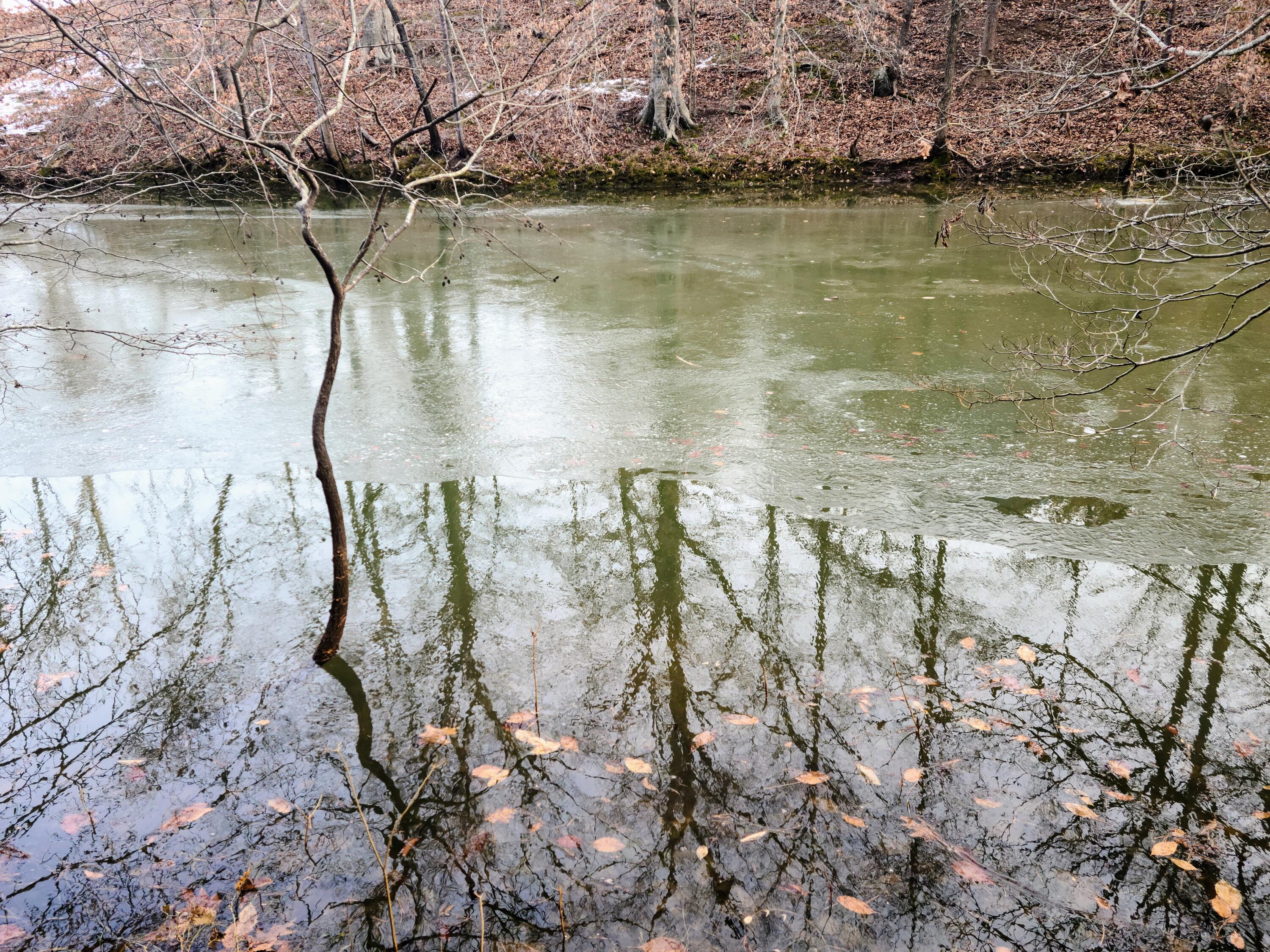 Lot 290 Waterway Ct, Lynch Station, Virginia image 2