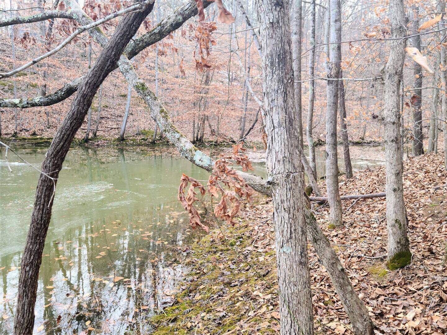 Lot 290 Waterway Ct, Lynch Station, Virginia image 4