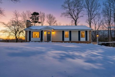 Homes For Sale - 135 Silverbirch Dr<br/> Blue Ridge, VA 24064