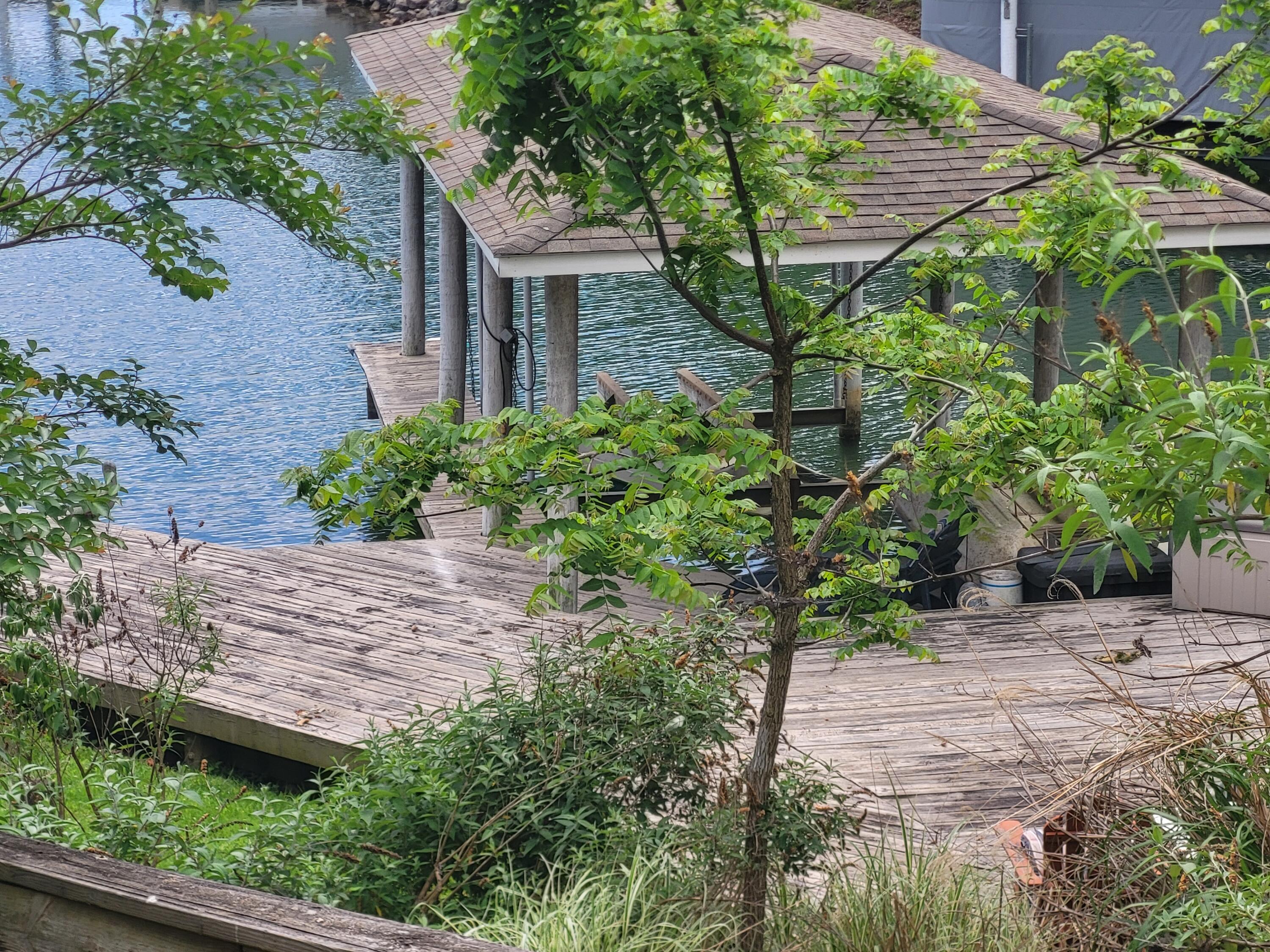 54 Hideaway Ln, Moneta, Virginia image 2