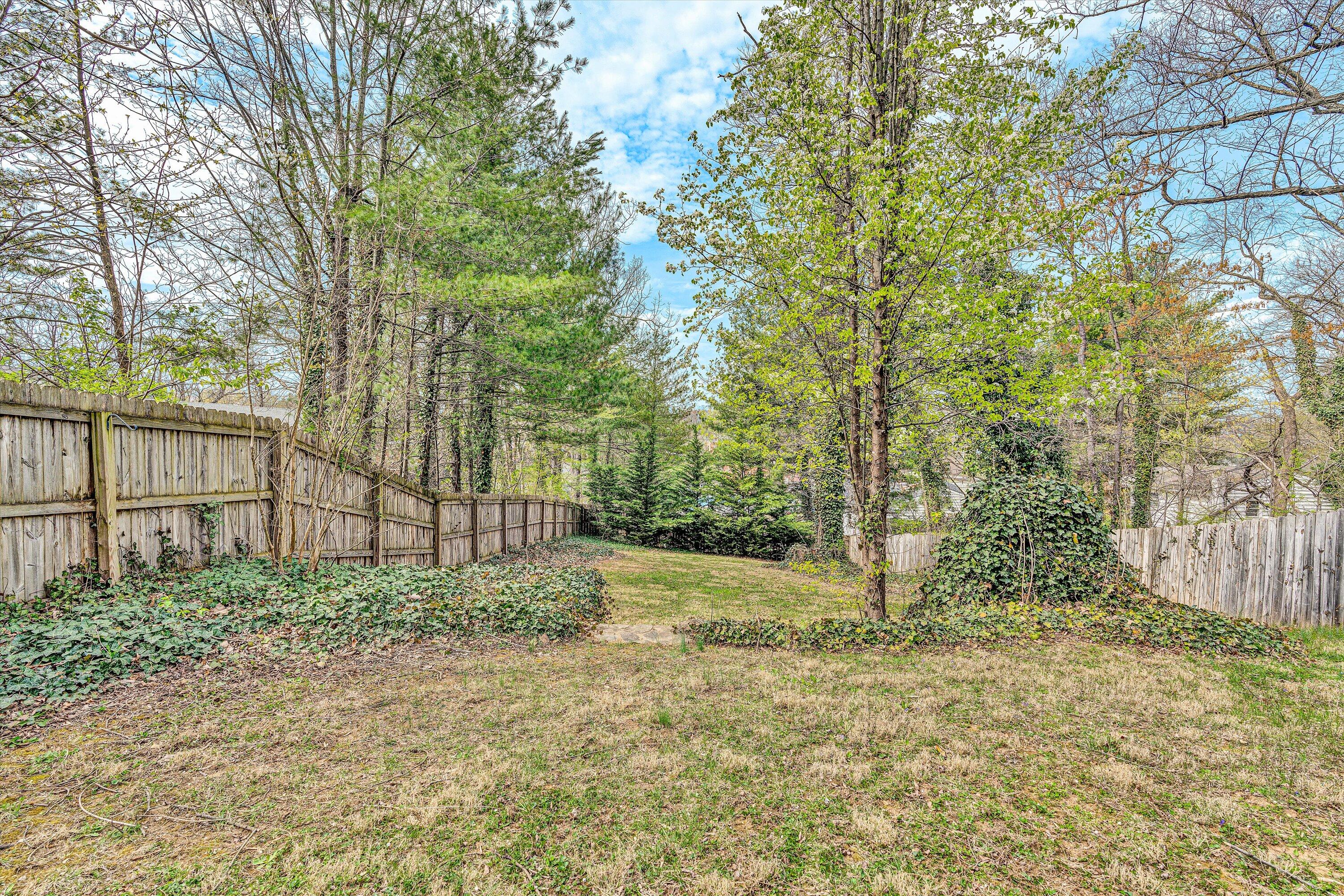 2927 Hollowell Ave, Roanoke, Virginia image 27