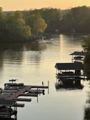 1089 Bluewater Dr #512, Moneta, Virginia image 15