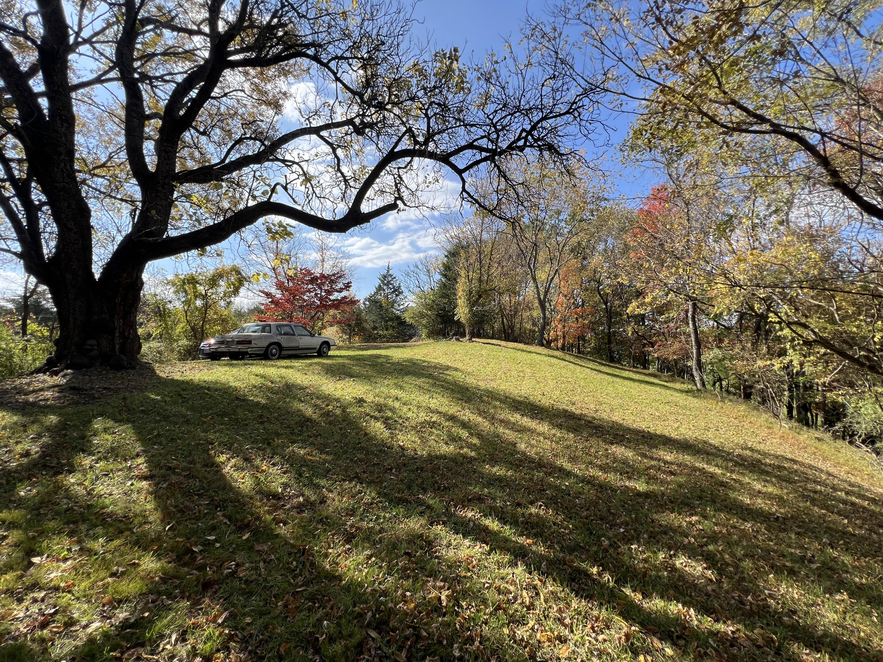 Roanoke, Virginia 24014, United States, 2 Bedrooms Bedrooms, ,1 BathroomBathrooms,Residential,Pending,40498