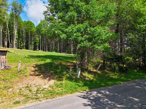 Vacant Land For Sale - TBD Dogwood Ln<br/> Willis, VA 24380