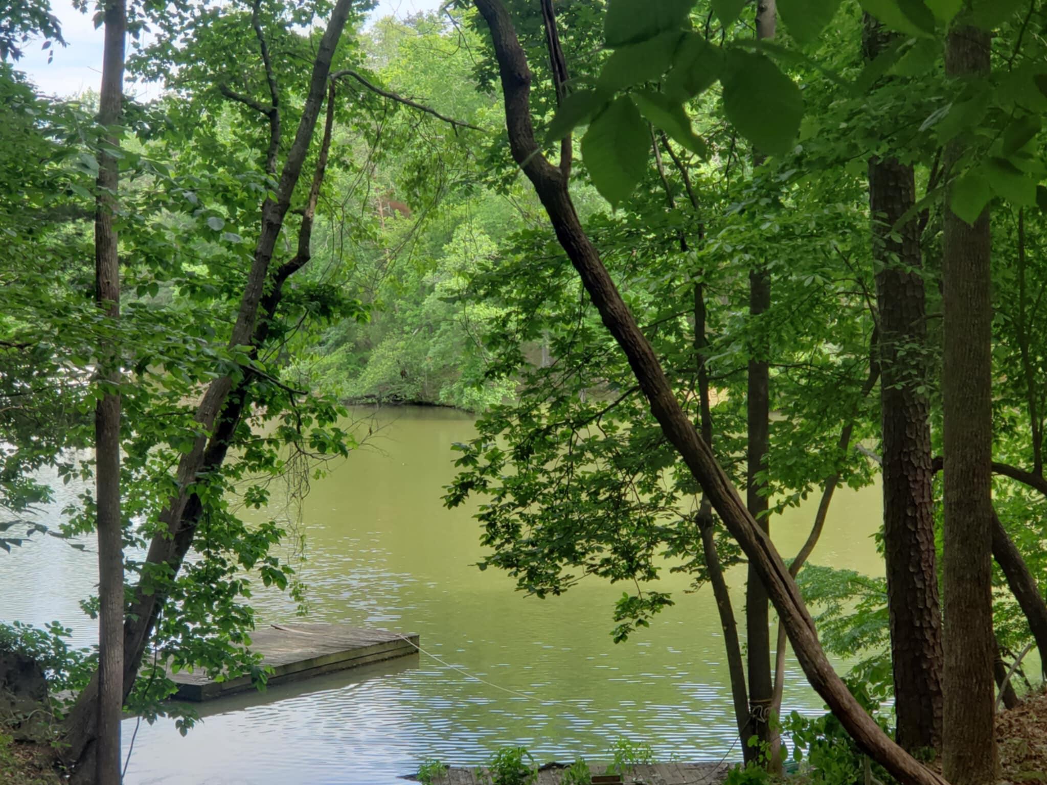 Bridgewater Ln, Moneta, Virginia image 1