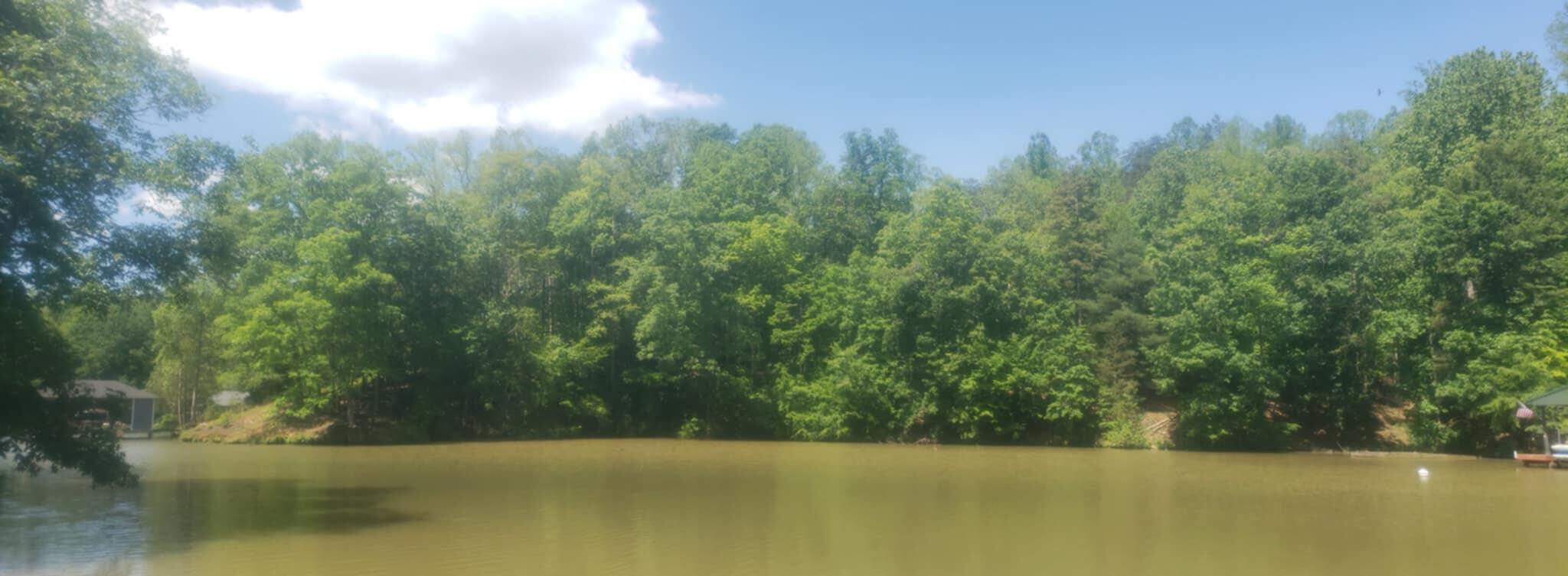 Bridgewater Ln, Moneta, Virginia image 3