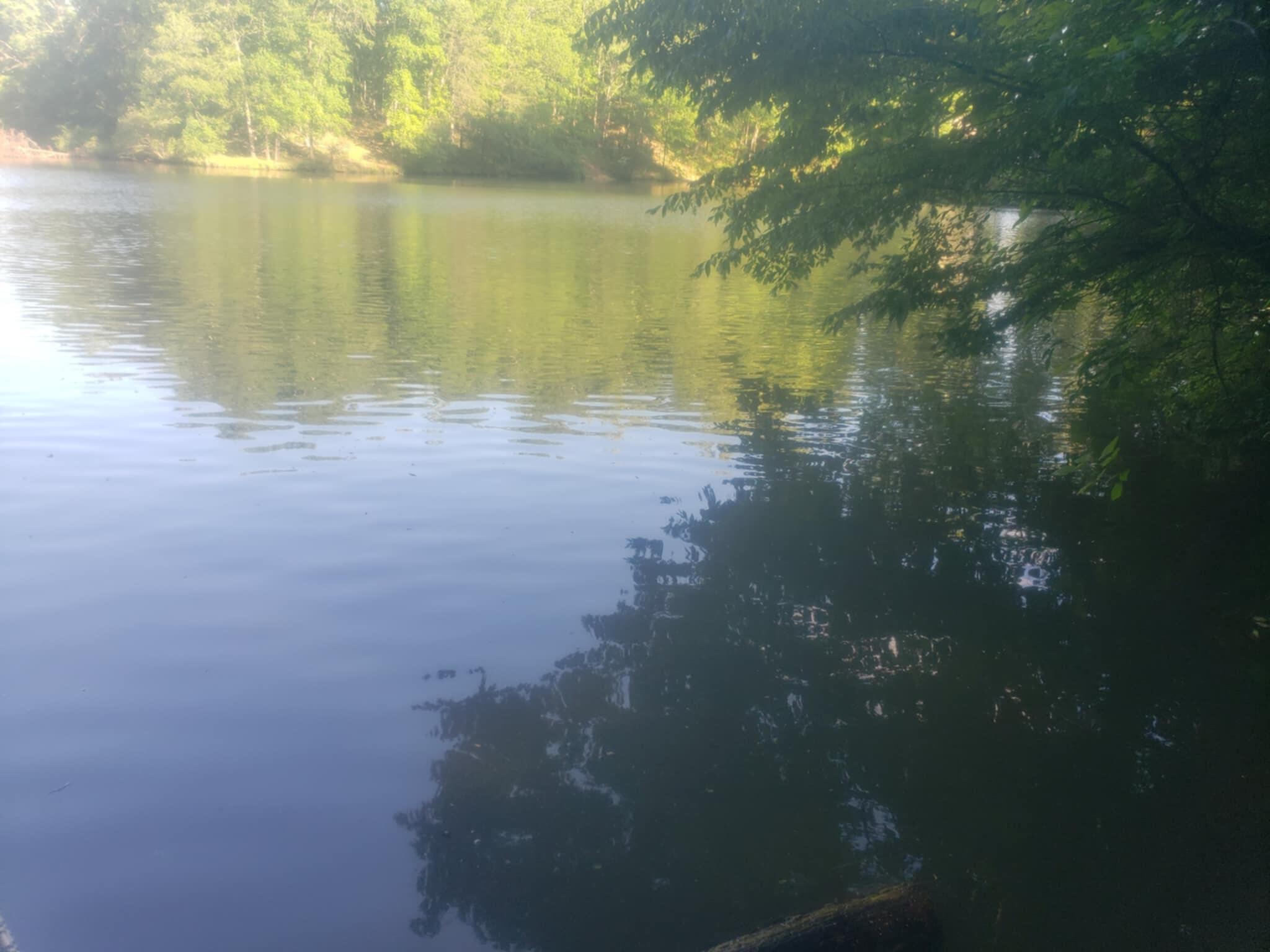 Bridgewater Ln, Moneta, Virginia image 2