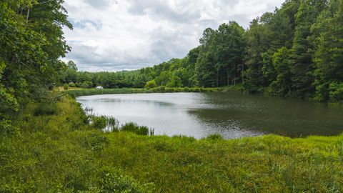 Vacant Land For Sale - Ferney Creek Rd<br/> Willis, VA 24380