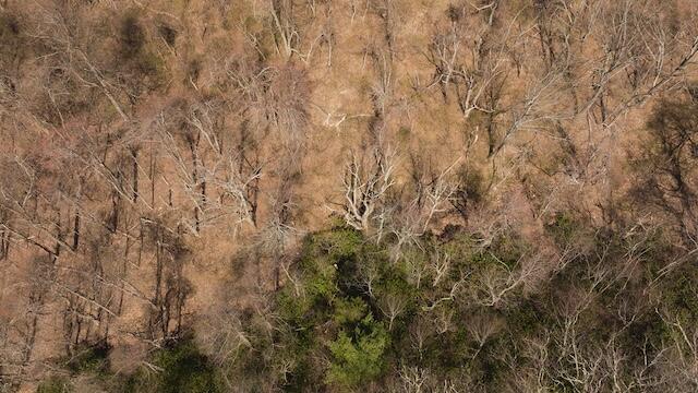 Lot 2 Grandview Dr, Meadows of Dan, Virginia image 7