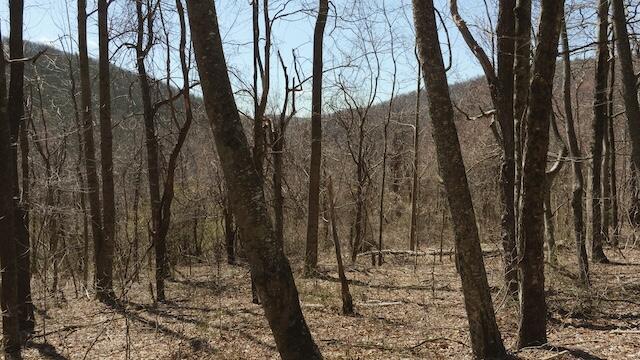 Lot 2 Grandview Dr, Meadows of Dan, Virginia image 3