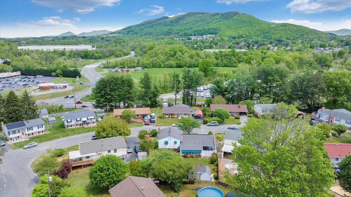 419 Houston Ave, Roanoke, Virginia image 47