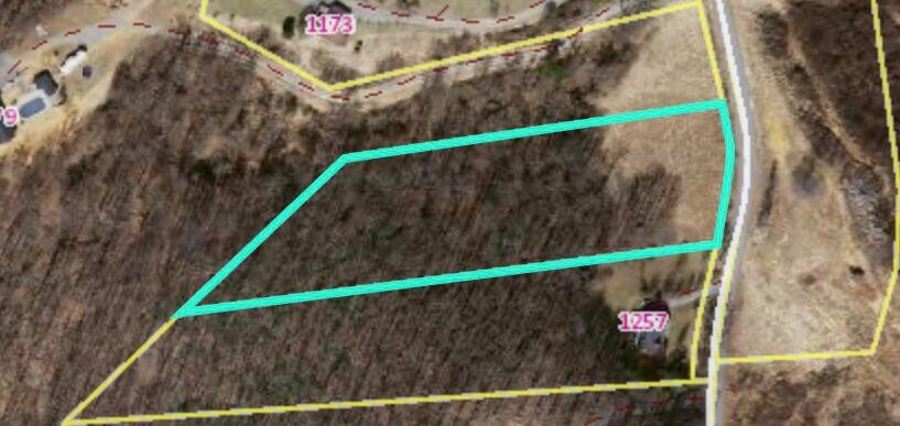 Wooldridge Rd, Blue Ridge, Virginia image 4