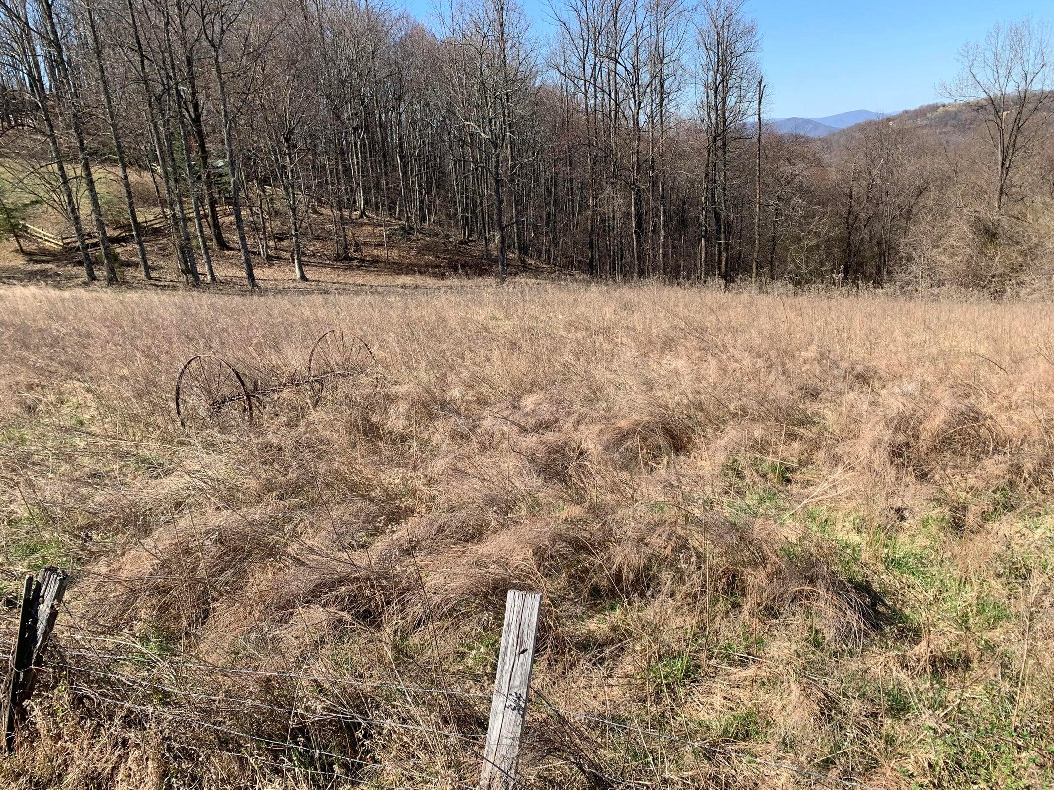 Wooldridge Rd, Blue Ridge, Virginia image 5