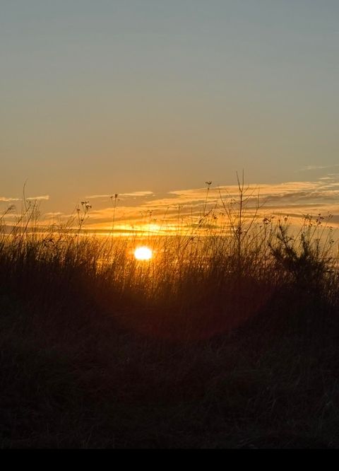 Vacant Land For Sale - Wooldridge Rd<br/> Blue Ridge, VA 24064