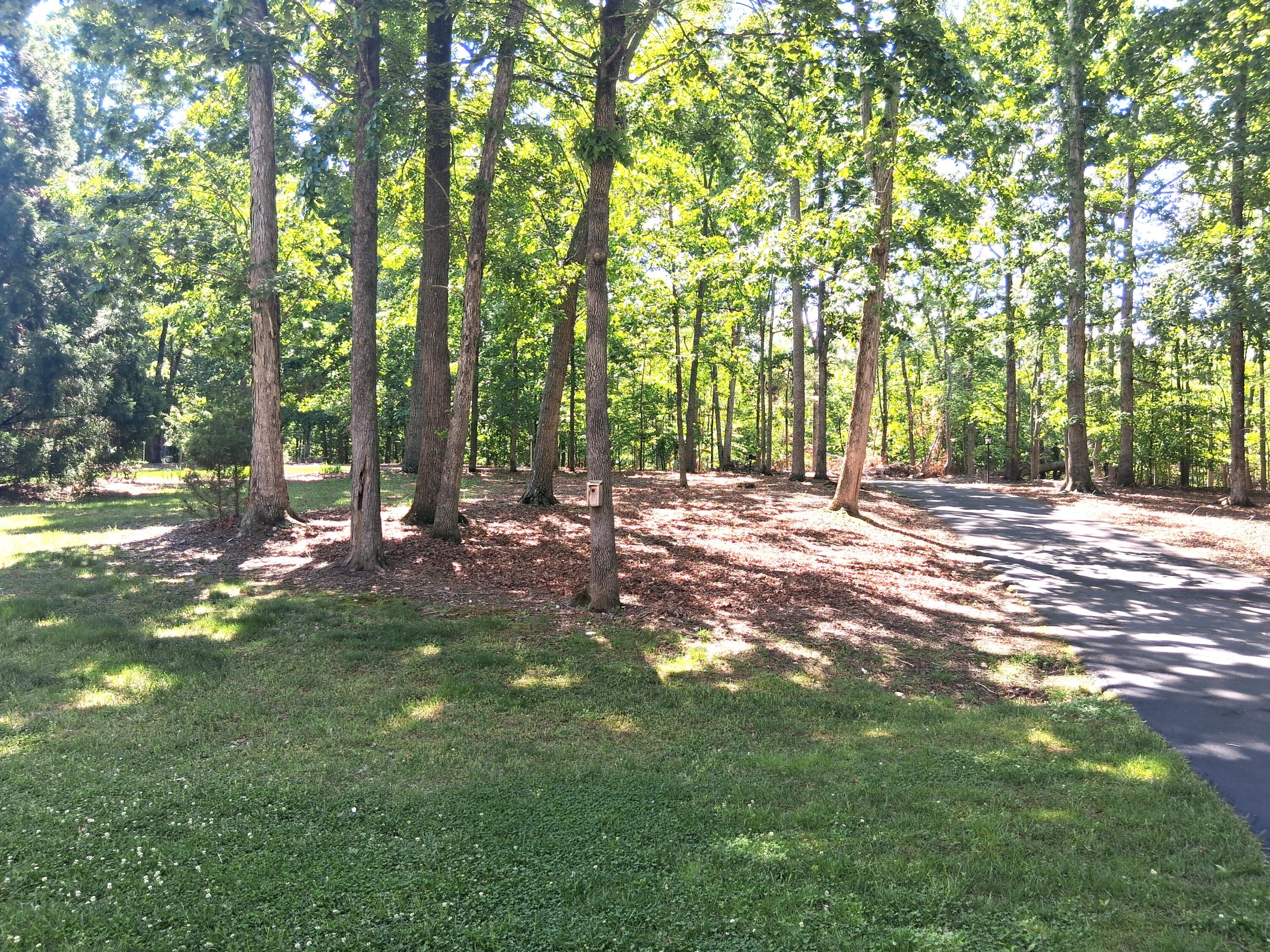 160 Galley Dr, Moneta, Virginia image 39