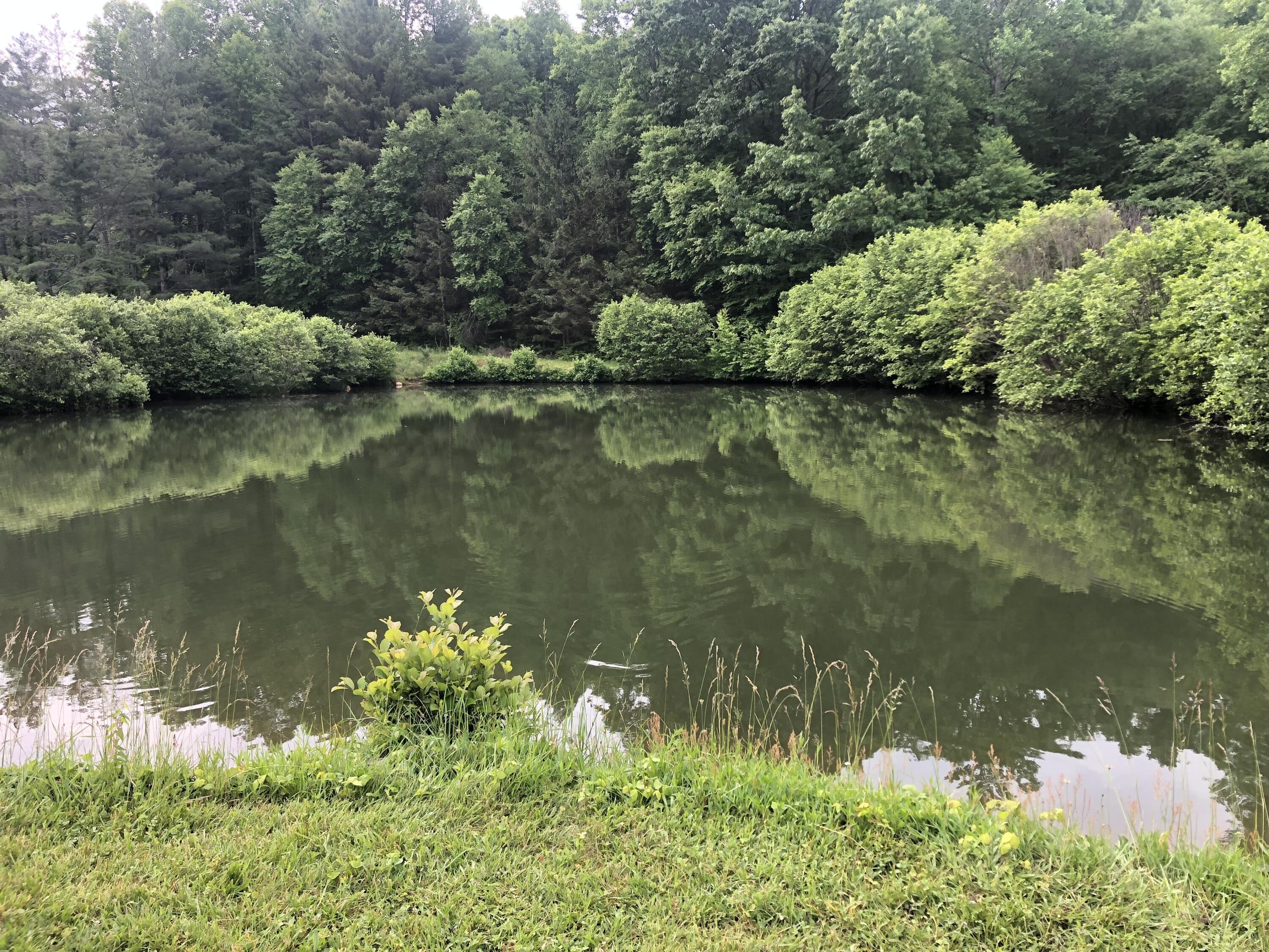 629 Paradise Ln, Floyd, Virginia image 31