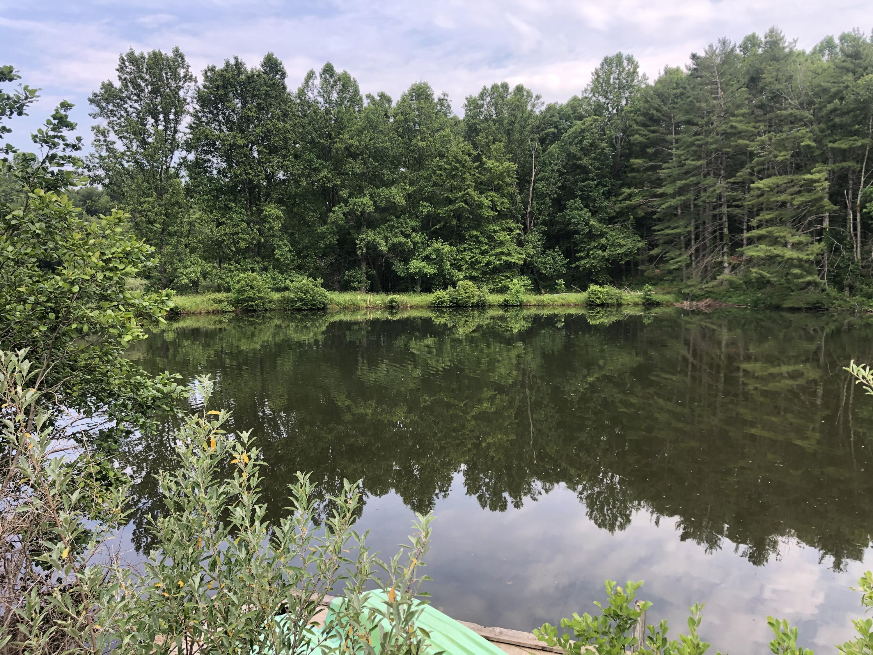 629 Paradise Ln, Floyd, Virginia image 30