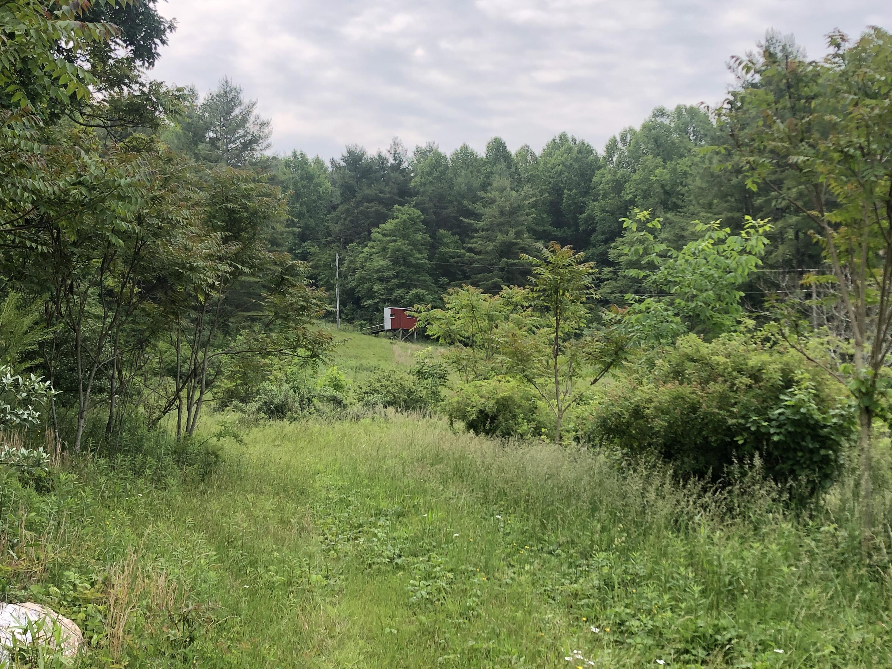 629 Paradise Ln, Floyd, Virginia image 27