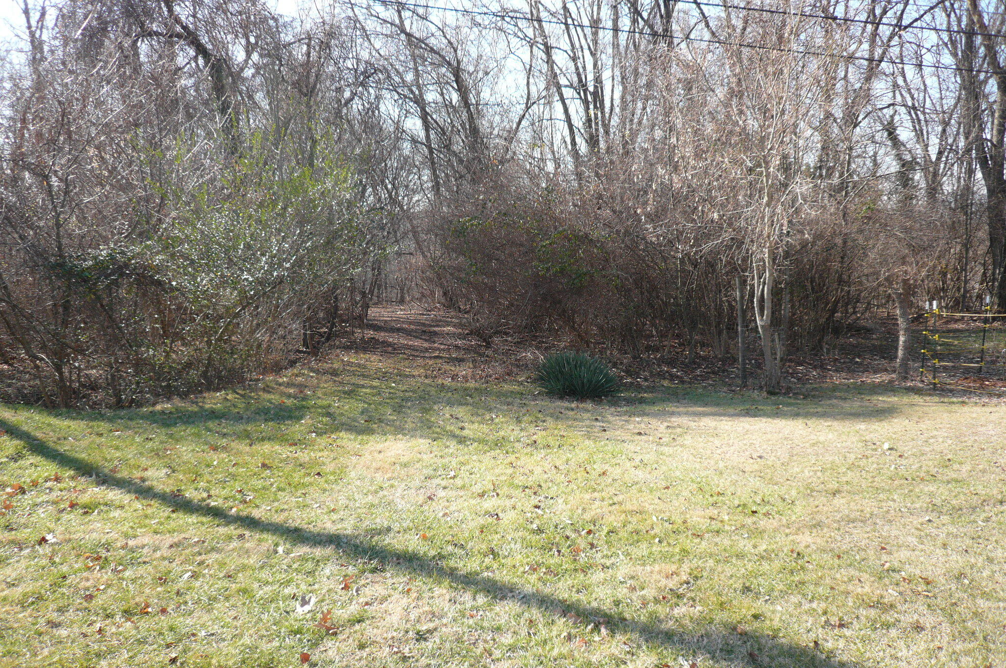 Oakland Blvd, Roanoke, Virginia image 1