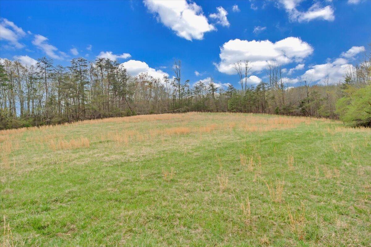 1222 Catfish Ct, Vinton, Virginia image 36