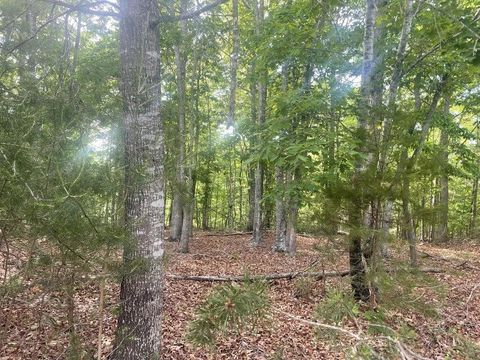 Vacant Land For Sale - LOT 19 Robin Ridge Ct<br/> Pittsville, VA 24139