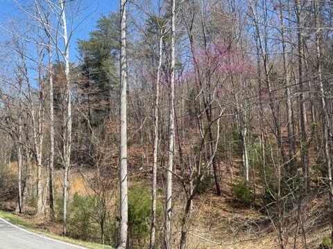 Vacant Land For Sale - 000 Narrow Passage Rd<br/> Eagle Rock, VA 24085