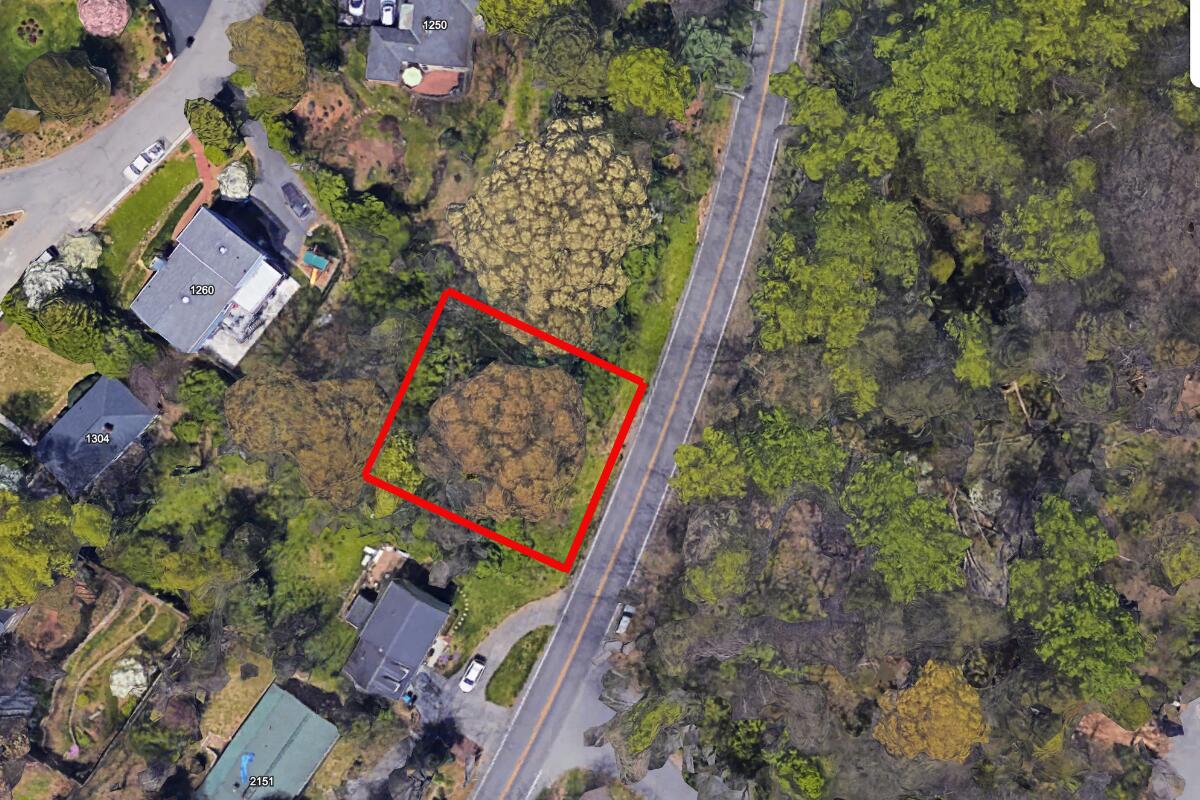SW Brambleton Ave, Roanoke, Virginia image 1