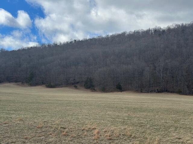 Lot 37 Johns Creek Rd, New Castle, Virginia image 1