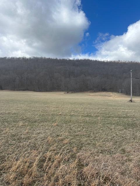 Lot 37 Johns Creek Rd, New Castle, Virginia image 5