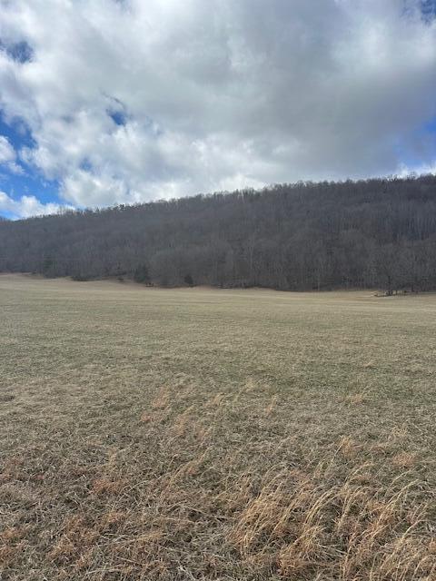 Lot 37 Johns Creek Rd, New Castle, Virginia image 4
