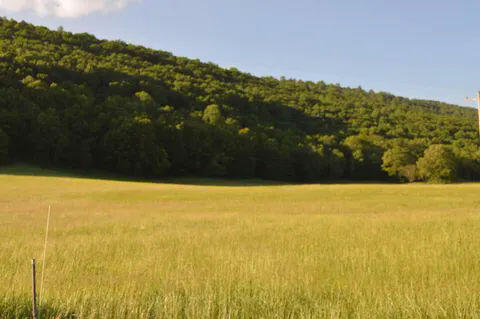 Lot 37 Johns Creek Rd, New Castle, Virginia image 6