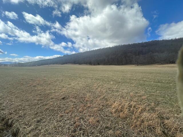 Lot 37 Johns Creek Rd, New Castle, Virginia image 2