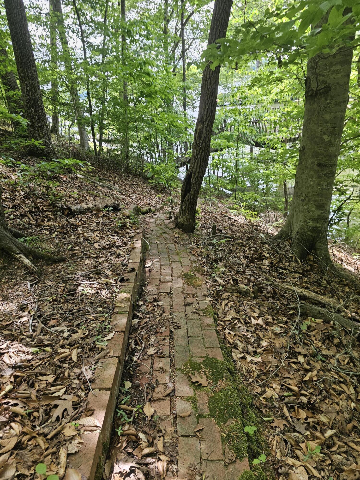 145 Carlos Rd, Union Hall, Virginia image 7
