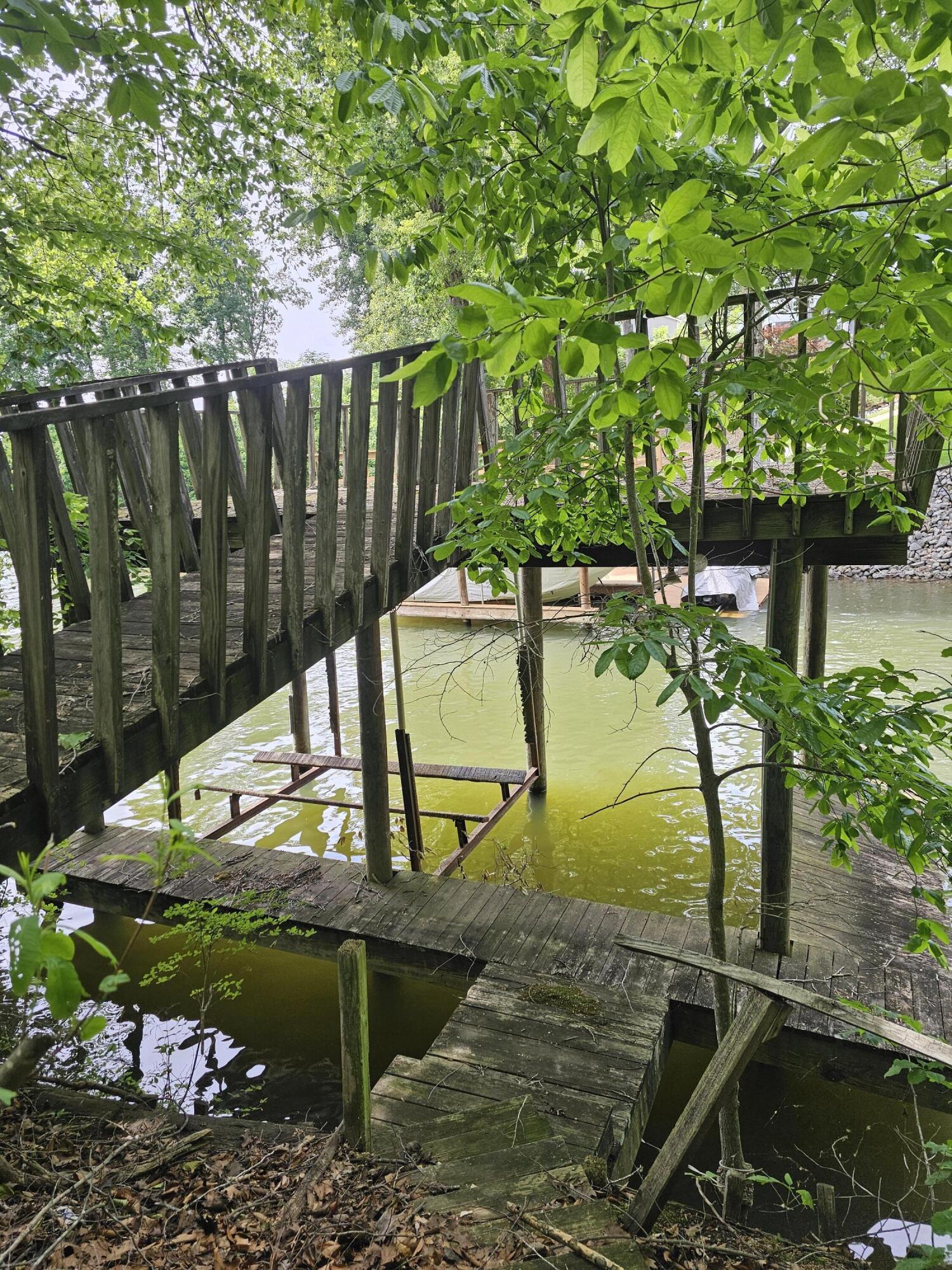 145 Carlos Rd, Union Hall, Virginia image 3