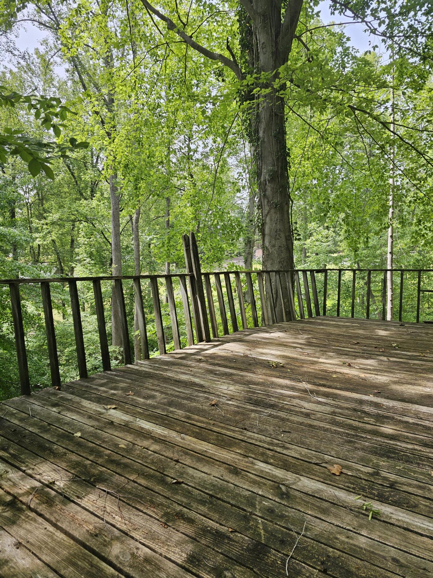 145 Carlos Rd, Union Hall, Virginia image 16