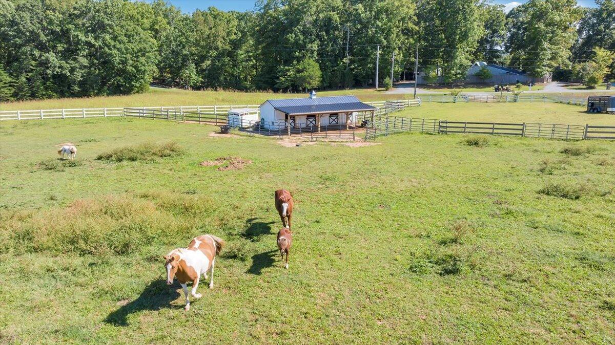 Mallard Point Rd, Wirtz, Virginia image 17